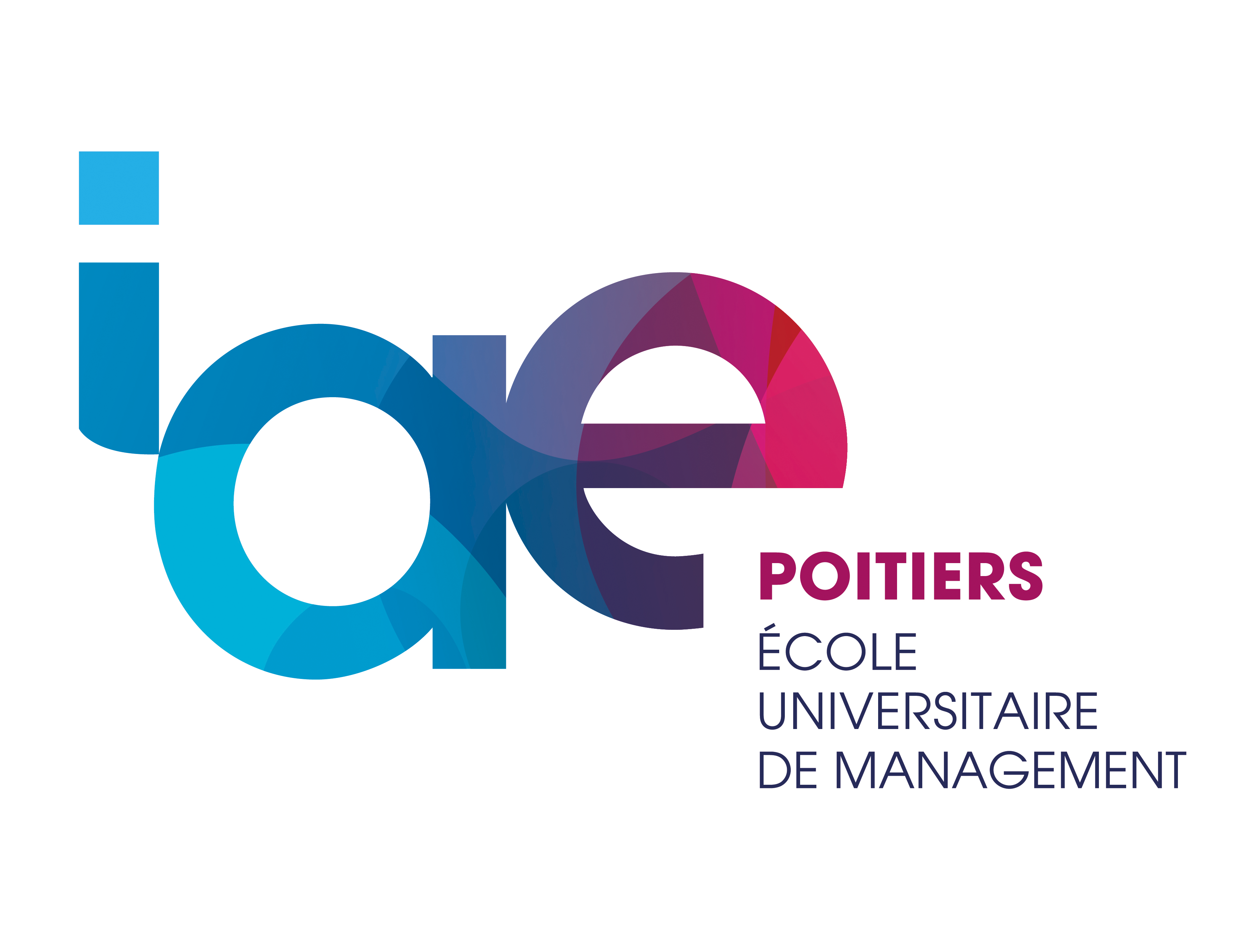 iae-de-poitiers